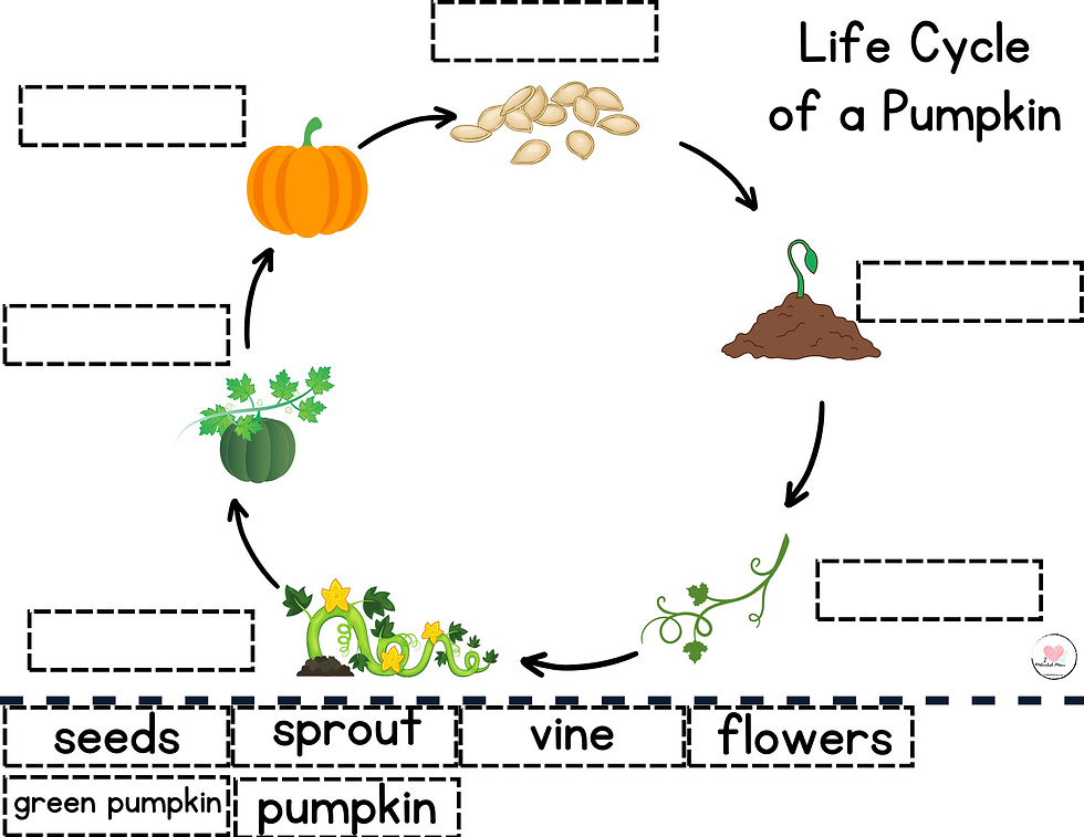 Thumbnail: Pumpkin Science Centers