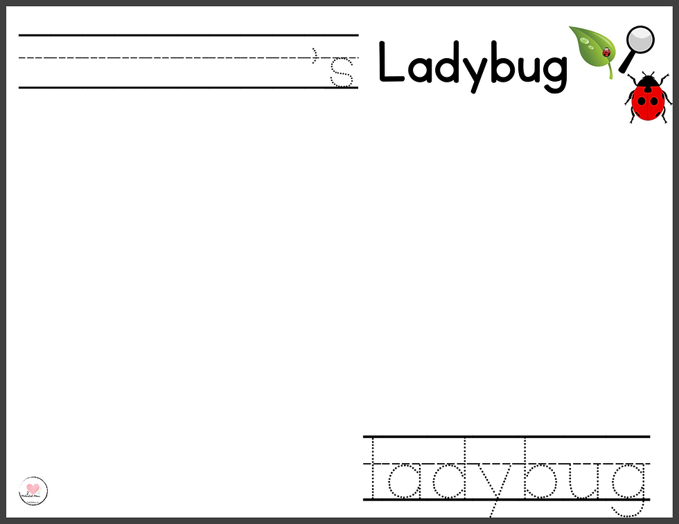 Thumbnail: Ladybug Science Bundle, Insects