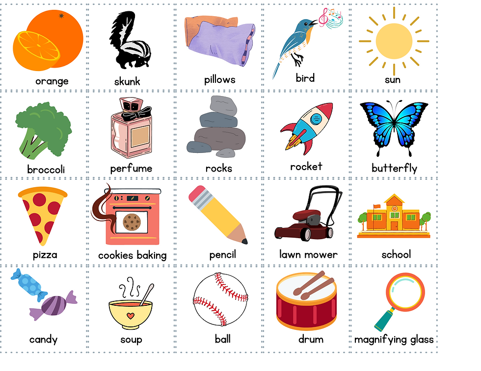 Thumbnail: 5 Senses Sort & Clip