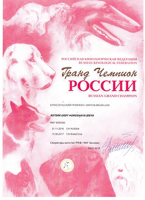 Грапнд Чемпион.jpeg