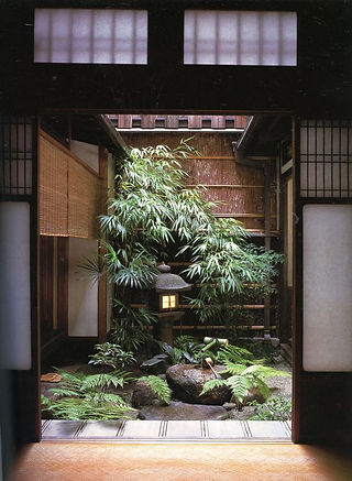 Indoor Garden