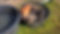 kune2.jpeg