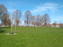 BomenPark.jpeg