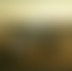 Couple Photos With An Airplane