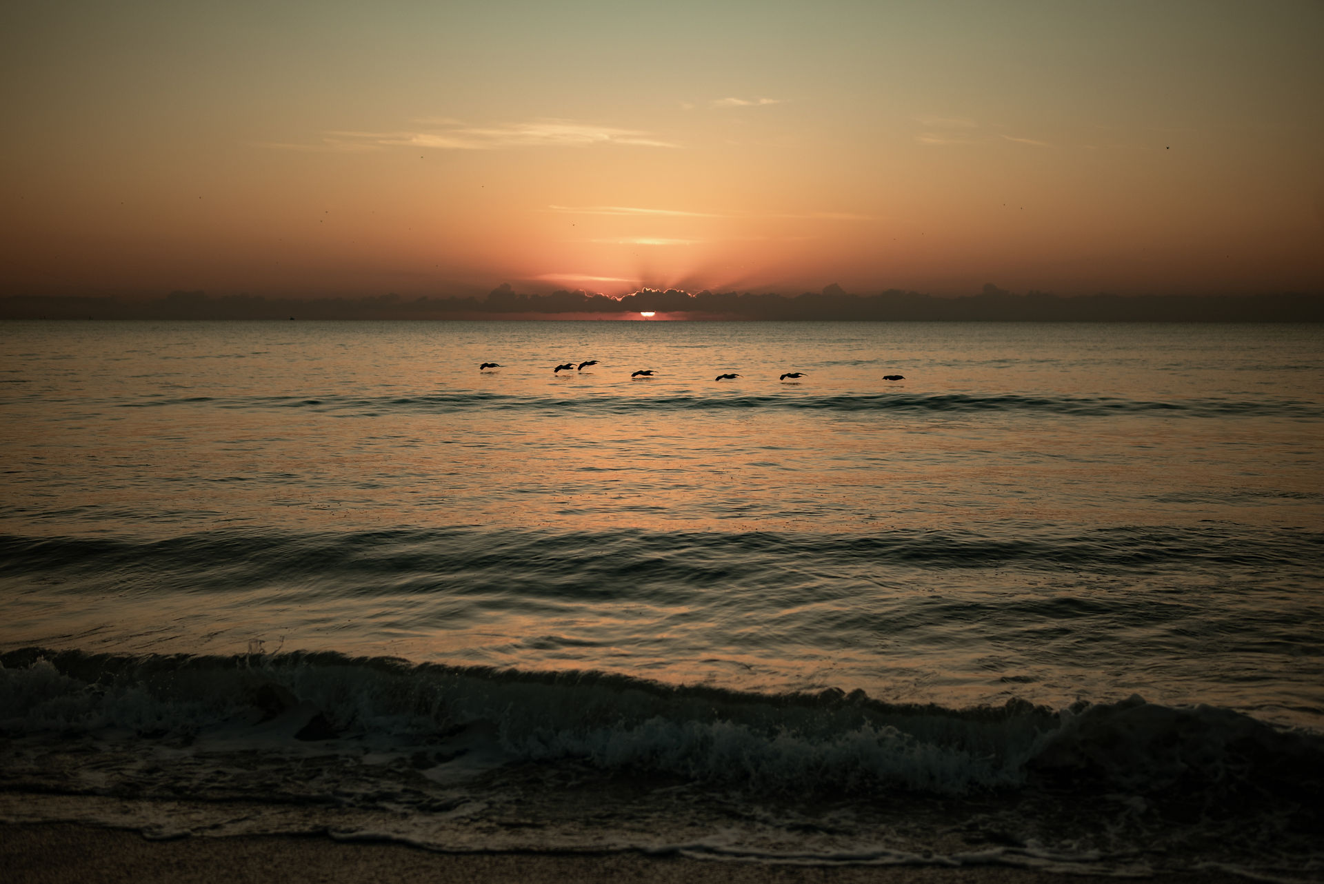 pelicans flying over the ocean at sunrise