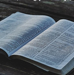 Screenshot 2025-08-13 at 8.47_edited.jpg