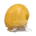 20260717_160327_edited_edited.png
