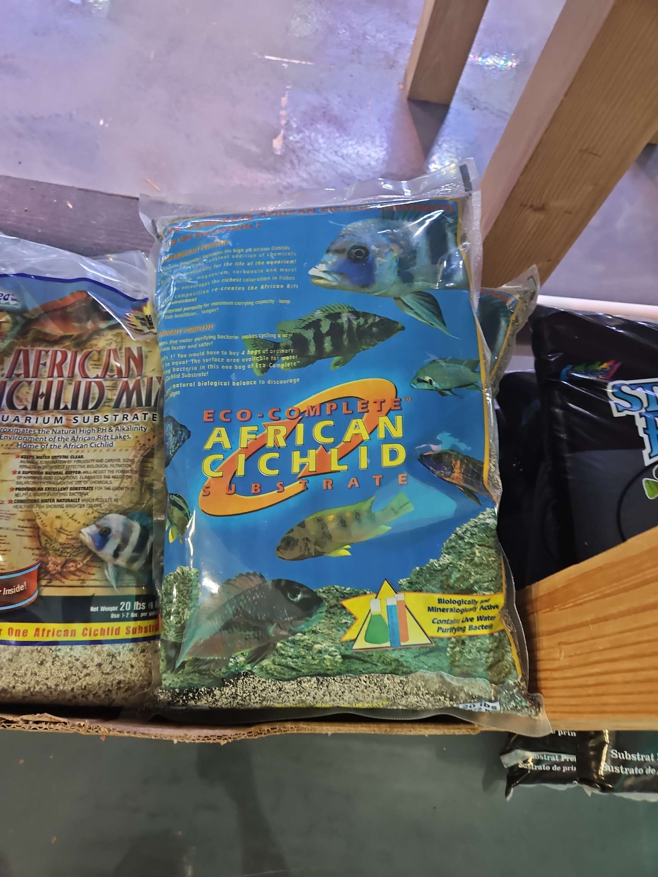 African Cichlid echo complete