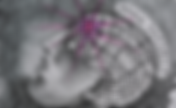 Brain Landscapes