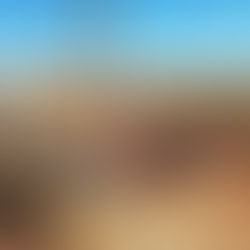 278 x Iron Ore Rail Cars