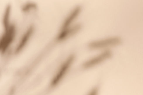 top-view-of-wheat-and-rye-ears-shadow-on-sand-col-2025-01-09-06-04-16-utc.jpg
