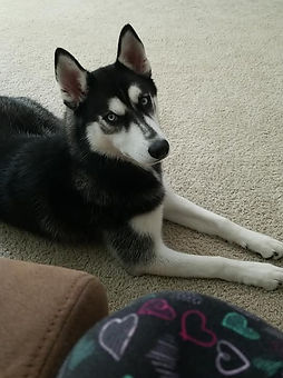 Female 1(8 months).jpg