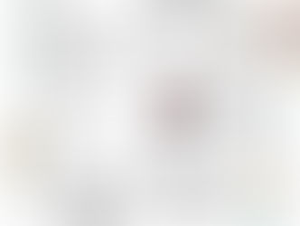 Boletín Informativo 3er Trimestre 2016/17