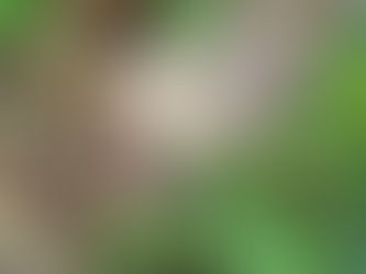 Costa Rica 5 La Fortuna / Arenal