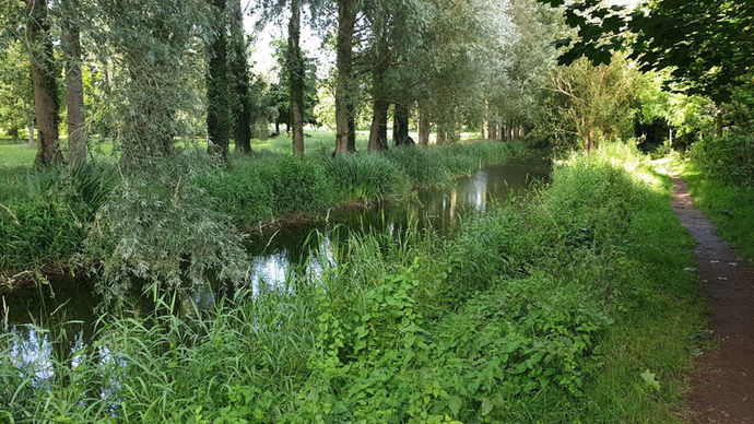 Walking the Thames Path Part 1 July 2020 A retrospective summary