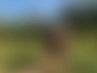 Big Trip 2024 - South Thailand