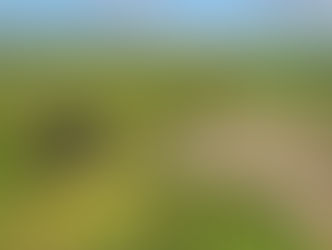 Hadrian's Wall Walk Days 6 and 7