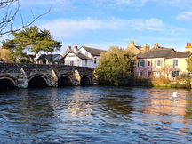 Letting Nature lift your mood