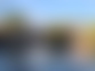 Letting Nature lift your mood