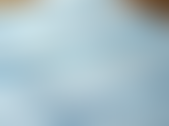 Understanding Why Some Firms Charge Premium Prices While We Offer Fair Market Value