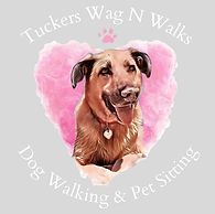 Tuckers Wag N Walks.png