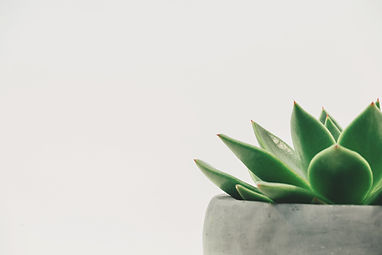 StripBanner