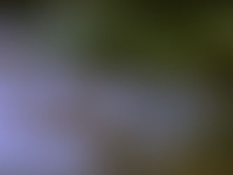 Musique originale du film "Toute la beauté du monde" de Cécile Dubost