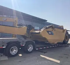 Carolina Cat Blog Image.png