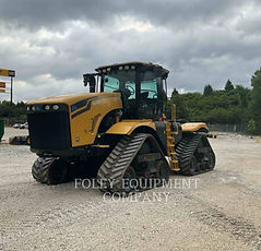 Carolina Cat Blog Image.png