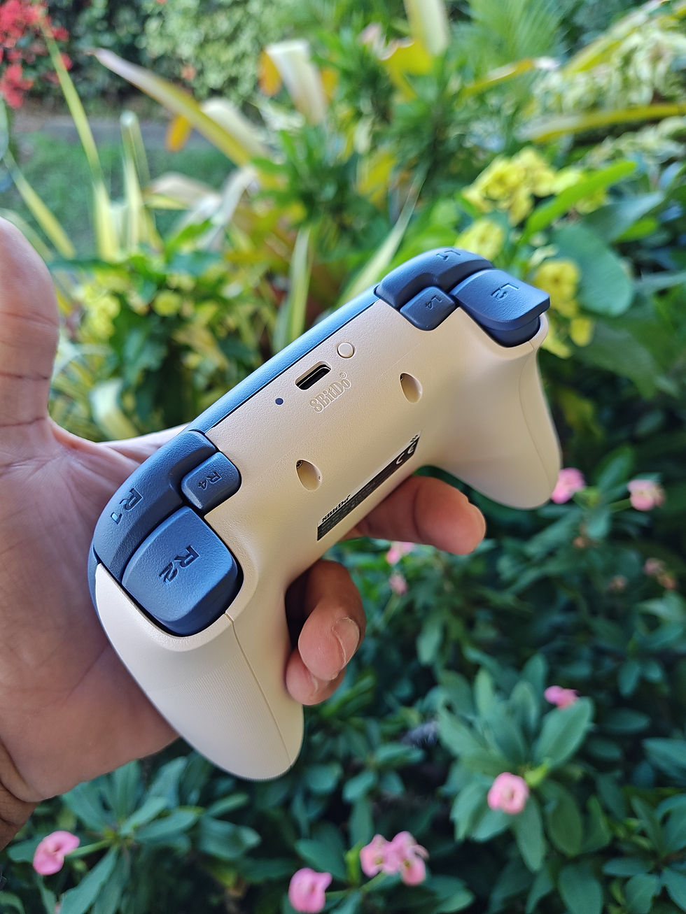 Thumbnail: 8bitdo Ultimate 2C for Nintendo Switch 1/2 & PC, No drift!