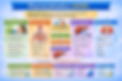 Pharmacokinetics (ADME)