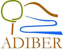 logo-adiber-vertical.png