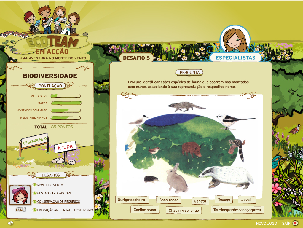 desafio5_montados com matos.jpg