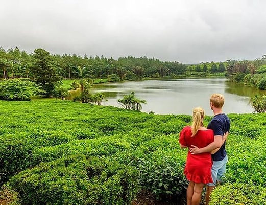 909498a1-afe7-43d1-8f43-09e3805f237f_wild-south-fullday-tour-incl-rhumerie-st-aubin-bois-c