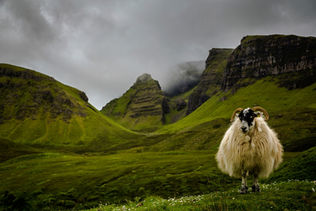 LANDSCAPES By: Clavicule-pics
