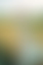 Photographer Mathieu Boutin (France)