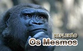 Aos trancos e barrancos seremos sempre o que somos(11/11/2020)