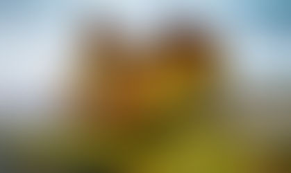 Na política não há mistérios da natureza (21/10/2020)