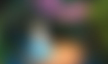 O que fazer com um país perdido entre caminhos, veredas e variantes (20/01/2021)