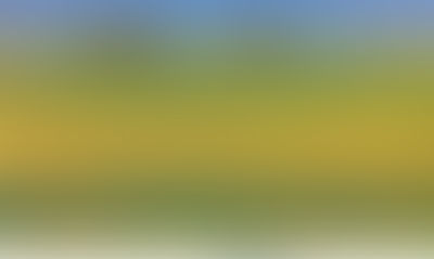 Olhai os Lírios no Campo e não se Esqueça de Observar as Galerias Pluviais (08/02/2021)