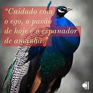 Nada é mais desastroso que a vaidade, a hipocrisia e a desonestidade humana (12/07/2021)