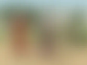 O incômodo da latomia não era balela, mas a presença do nosso novo Macunaíma  