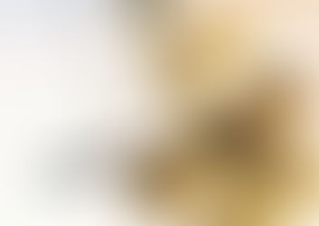 Quem infringe as leis pode infligir castigos desnecessários 