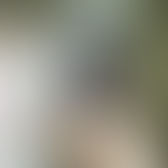 Conforme Pantera, no Brasil, até para nascer cachorro tem que ter sorte  