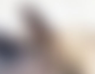 A incompetência não é um processo exógeno é endógeno (05/01/2021)