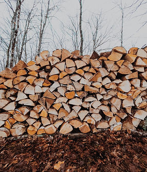 hans-isaacson-8veP1T0nfUU-unsplash (1).jpg