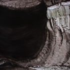2loop_9151.JPG