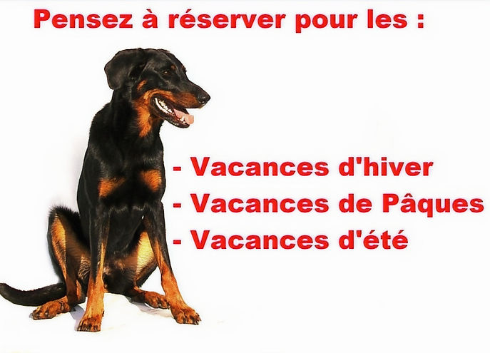 VACANCES 2023_edited.jpg
