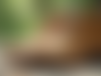 Why Ethical Shoe Choices Matter