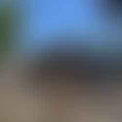 Tufts University - 80 Professors Row, Somerville, MA